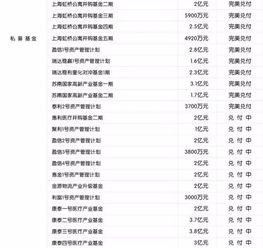 決策失序的信徒 從“車(chē)間話(huà)自由”到阜興現(xiàn)形記